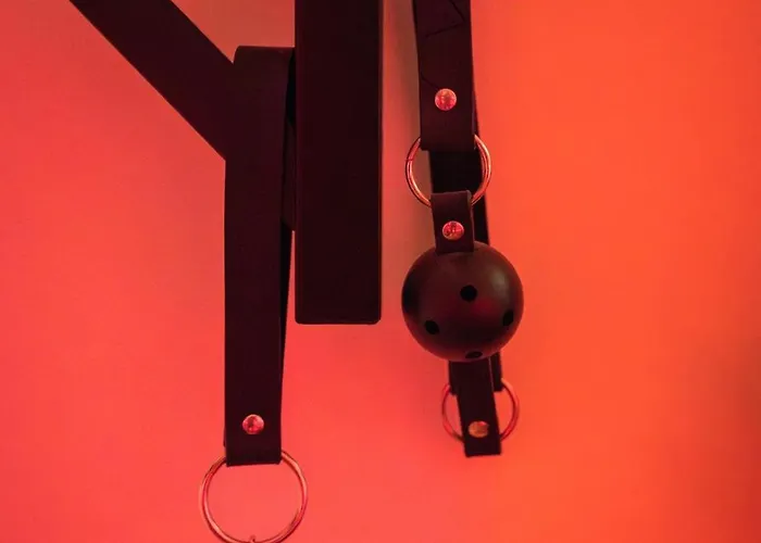 Le Confidentiel - Le Refuge De Vos Desirs Secrets Lejlighed