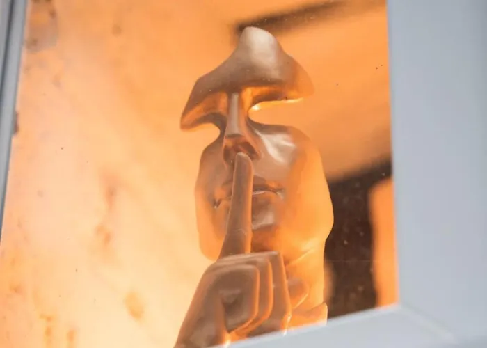 Le Confidentiel - Le Refuge De Vos Desirs Secrets Sélestat